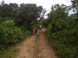 Retirement Farm Lot 2 ID 1680 HCA589, St. Mary, Jamaica - Commercial/farm land for Sale